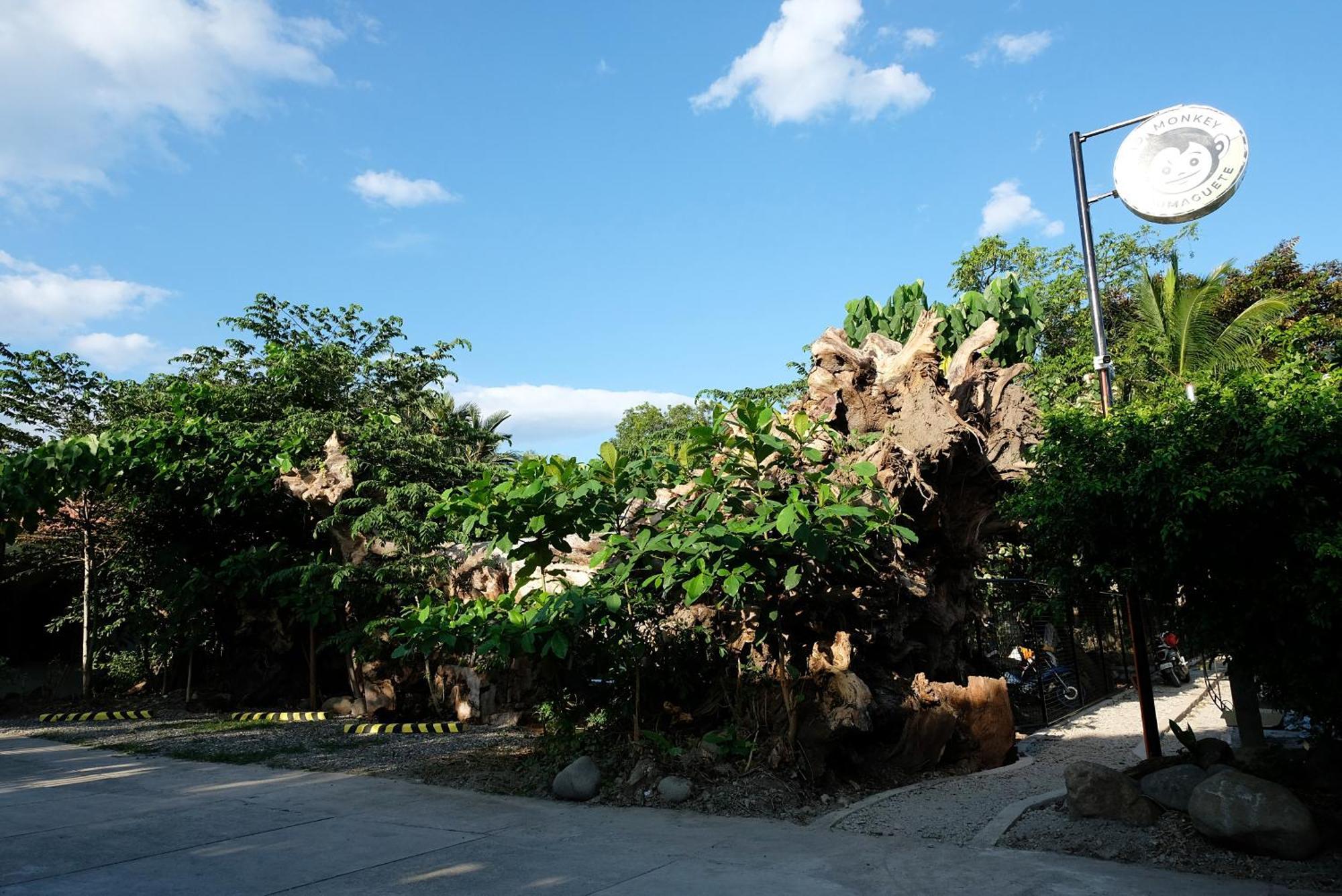 Mad Monkey Dumaguete Hostel Dumaguete City Exterior photo